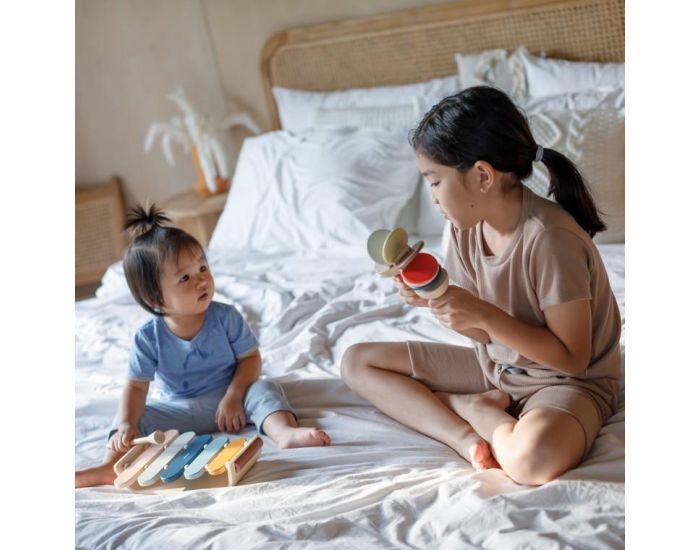 PLAN TOYS Xylophone Tendresse - D�s 12 mois (3)