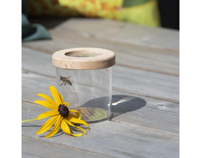 ESSCHERT DESIGN Boite Observation Insectes avec Loupe - D�s 3 ans (2)