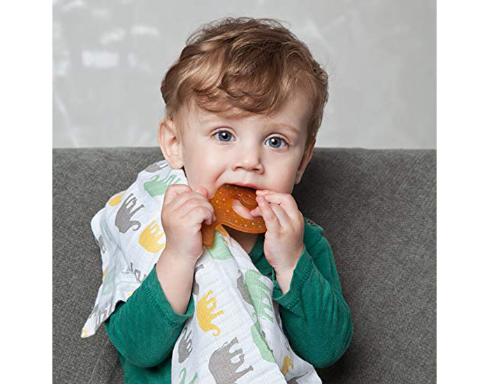 GRUNSPECHT Anneau de Dentition en Caoutchouc Naturel - Ds la Naissance Poisson (1)