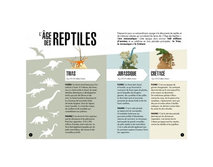 SASSI JUNIOR L'�re des dinosaures - Le Pt�ranodon - D�s 6 ans (3)