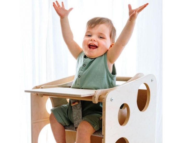 MONTI FAMILY Babyswing - D�s 6 mois (1)