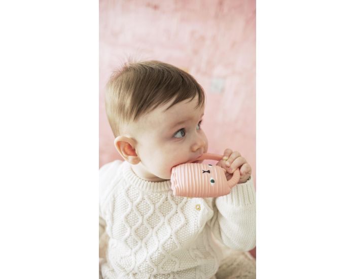 OLI ET CAROL Anneau de Dentition Ginge le Chat - D�s la Naissance (1)