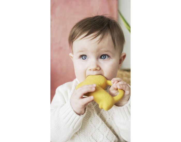 OLI ET CAROL Anneau de Dentition Richie le Lion - D�s la Naissance (5)