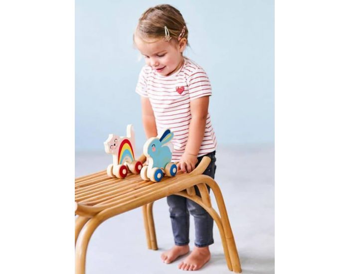 PETIT MONKEY Chat Arc-en-Ciel � Pousser - Petit Monkey - D�s 12 mois (1)