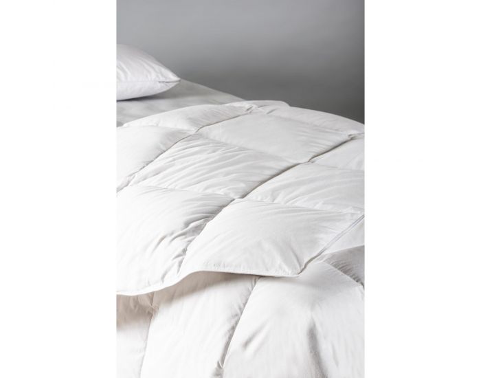 KADOLIS Couette Duvet De Canard Et Plumes - 140x200 cm (21)