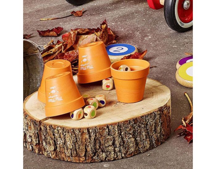 VILAC C'est des Salades Jeu de Bluff - D�s 6 ans (3)