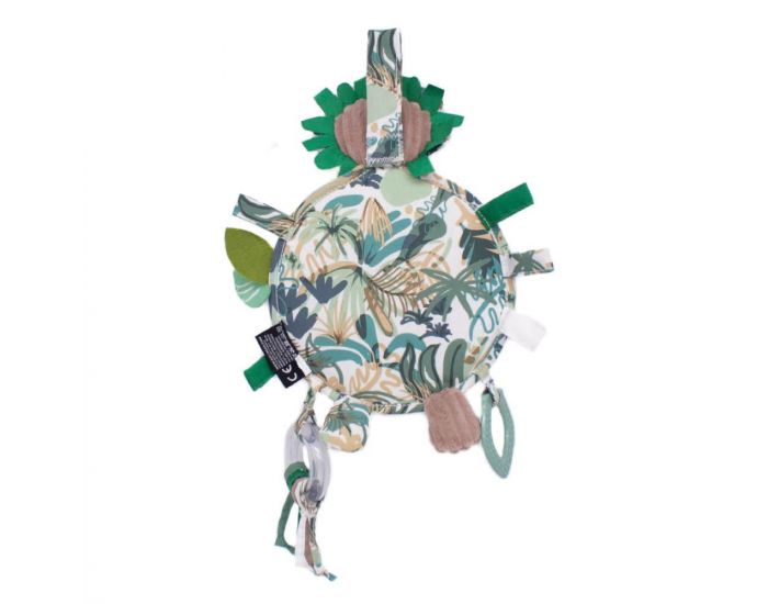 LES D�GLINGOS Miroir d'�veil - J�l�kros le Lion (1)