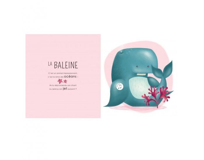 SASSI JUNIOR Livre Sonore - Les Petits Habitants de la Mer (2)