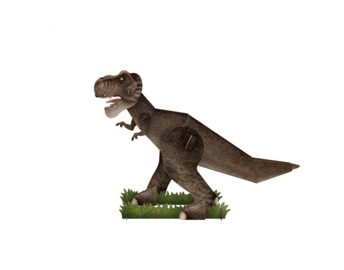 SASSI JUNIOR Modle 3D & livre - Le Tyrannosaure (1)