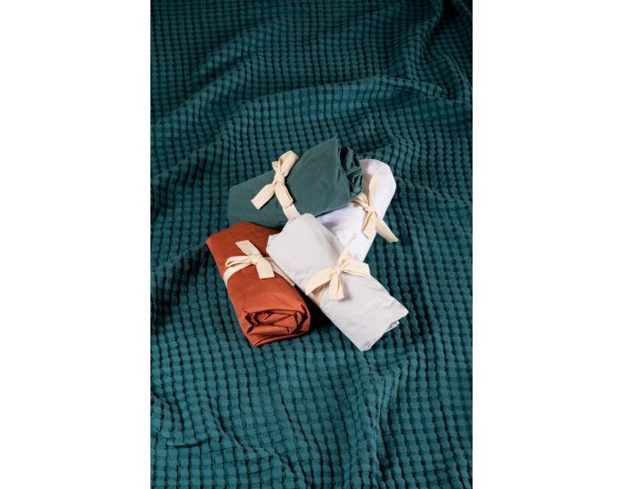 KADOLIS Al�se Drap Housse Enfant Imperm�able Jersey Tencel - Terracotta (6)