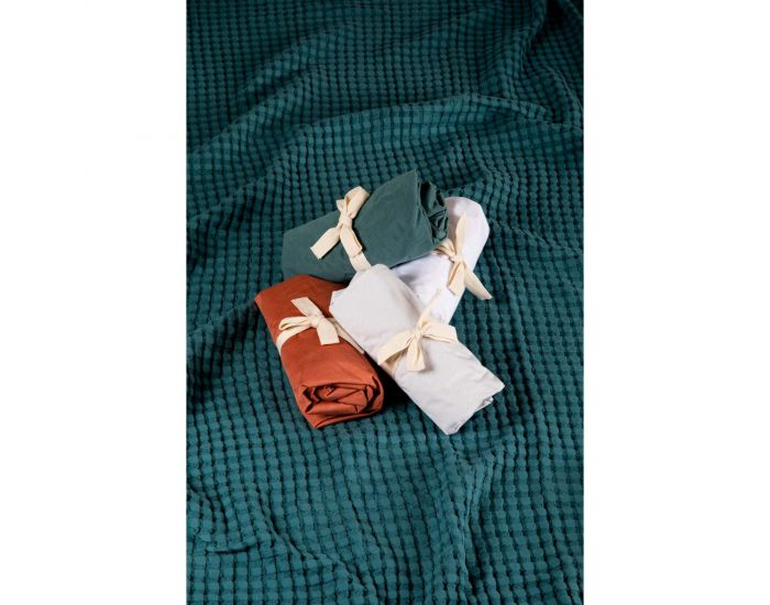 KADOLIS Al�se Drap Housse Adulte Imperm�able Jersey Tencel - Terracotta (13)