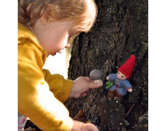 PAPOOSE TOYS La Famille Gnomes - Set de 4 - D�s 3 ans (9)