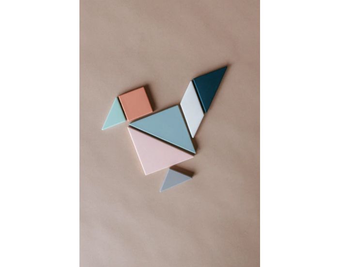 MINTYWENDY Tangram Montessori - Jeu pour les 4 ans et plus (1)