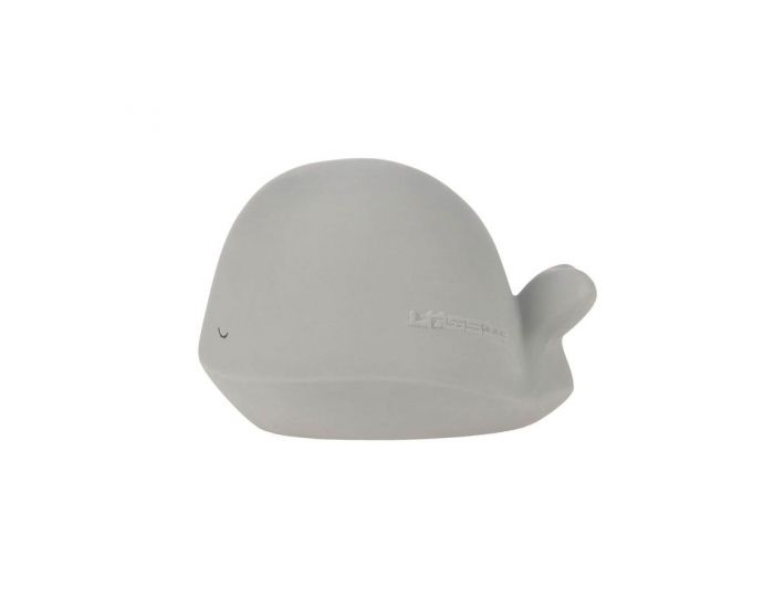 LASSIG Jouet de Bain en Caoutchouc Naturel - D�s la Naissance  (2)