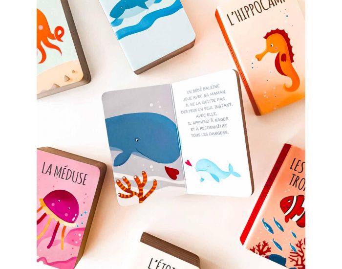 SASSI JUNIOR Lot de 8 Livres - Ma Petite Biblioth�que - D�s 2 ans  (2)