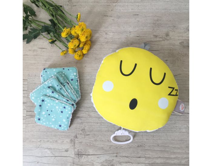 CAROTTE & Cie Lot de 10 Lingettes Lavables Super H�ros et Etoiles C�ladon (4)