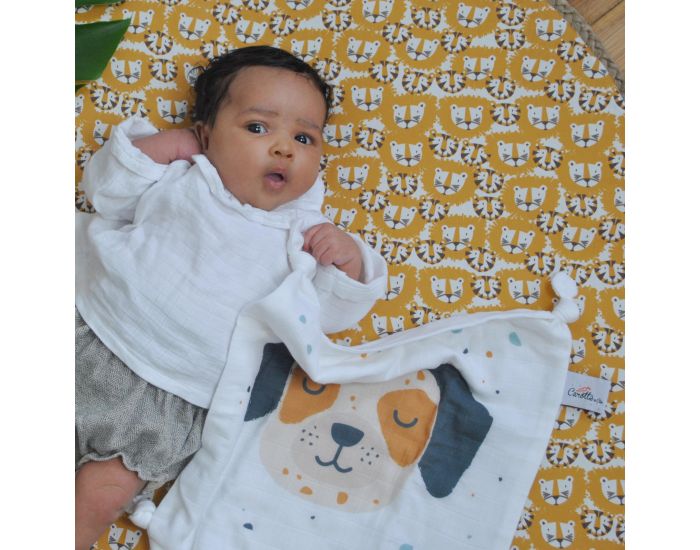 CAROTTE & Cie Doudou plat Chien - Ds la naissance (3)