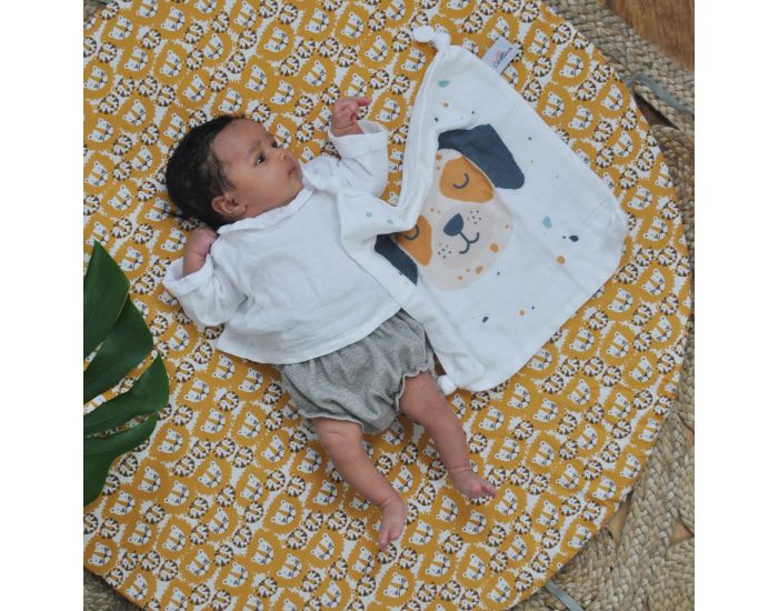 CAROTTE & Cie Doudou plat Chien - D�s la naissance (2)