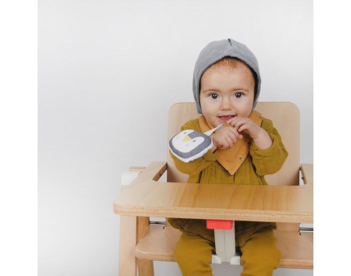 CAROTTE & Cie Anneau de Dentition Bois et Tissu Pingouin - Ds la Naissance (2)