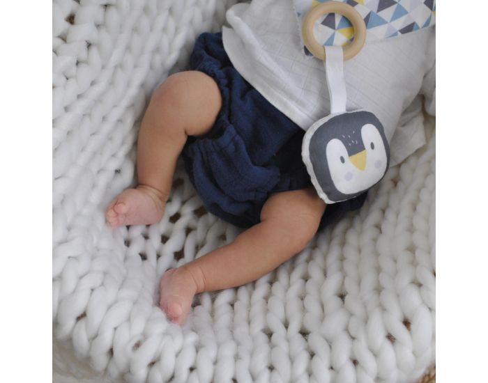 CAROTTE & Cie Anneau de Dentition Bois et Tissu Pingouin - D�s la Naissance (1)
