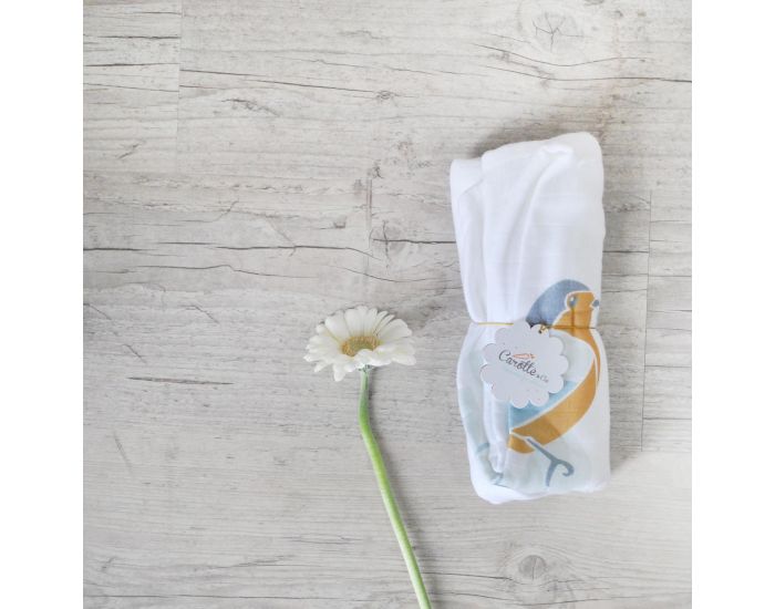 CAROTTE & Cie Maxi Lange (7)