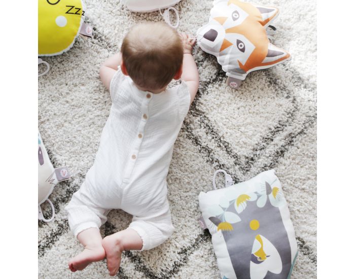 CAROTTE & Cie Coussin Musical Nichoir  Oiseaux (2)