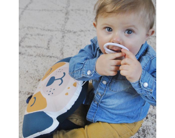 CAROTTE & Cie Coussin musical Chien La vie en rose (3)