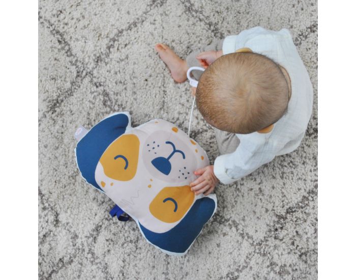 CAROTTE & Cie Coussin musical Chien La vie en rose (1)