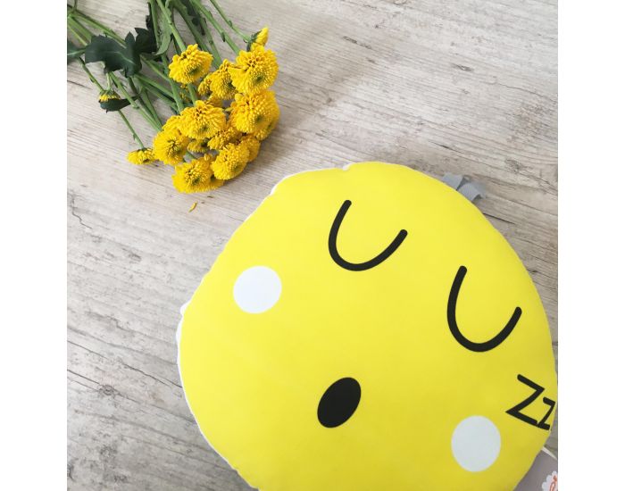 CAROTTE & Cie Coussin musical Smile La vie en rose (3)