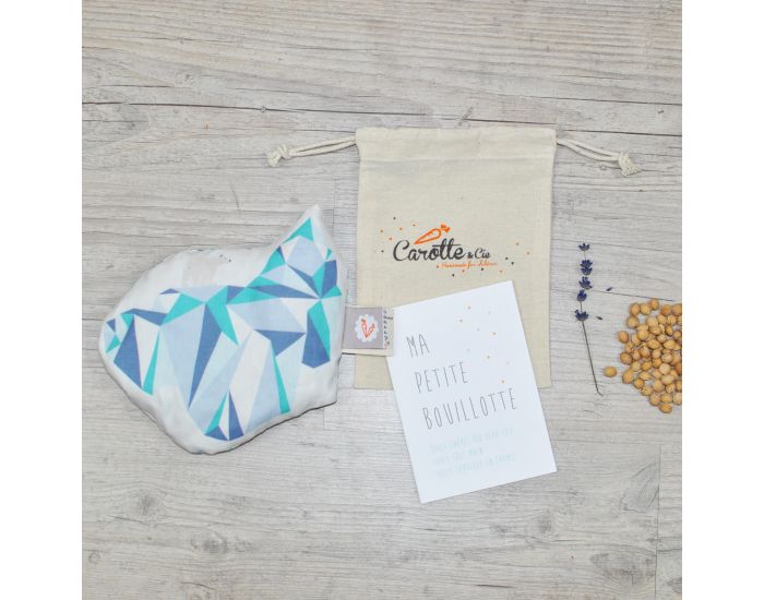 CAROTTE & Cie Bouillotte sche Iceberg (3)