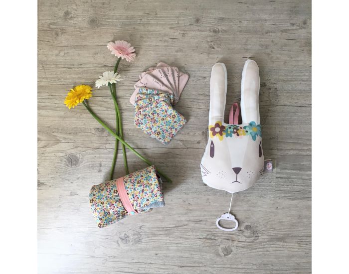 CAROTTE & Cie Coussin musical Lapin Une chanson douce (2)