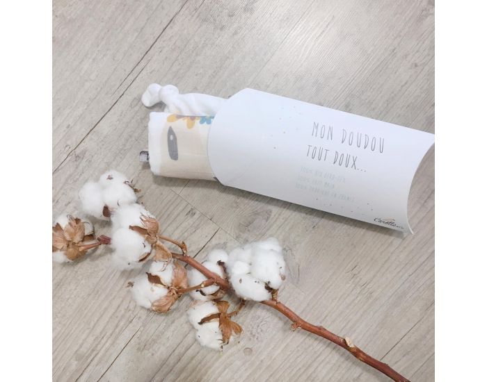 CAROTTE & Cie Doudou plat Lapin (7)