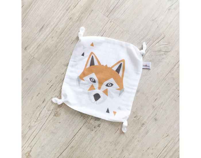 CAROTTE & Cie Doudou plat Renard - Ds la naissance (1)