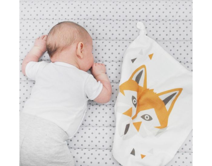 CAROTTE & Cie Doudou plat Renard - D�s la naissance (3)