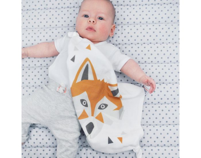 CAROTTE & Cie Doudou plat Renard - D�s la naissance (4)