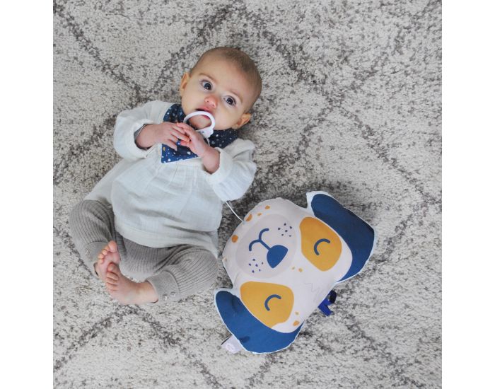 CAROTTE & Cie Coussin musical Chien (1)