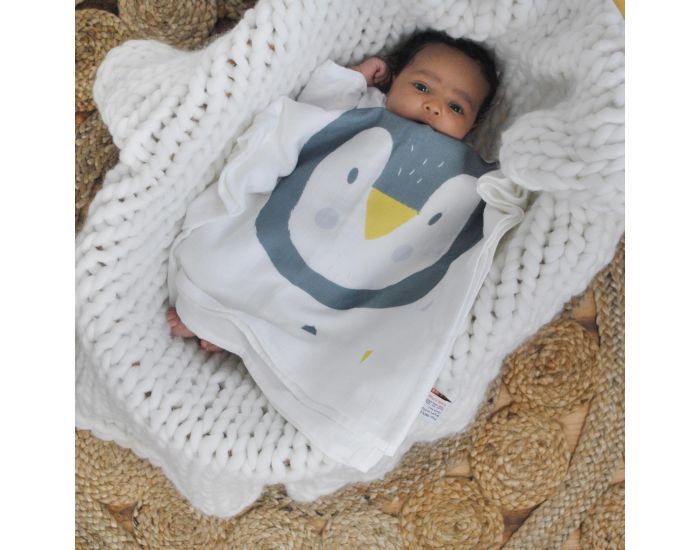 CAROTTE & Cie Maxi lange Pingouin (2)