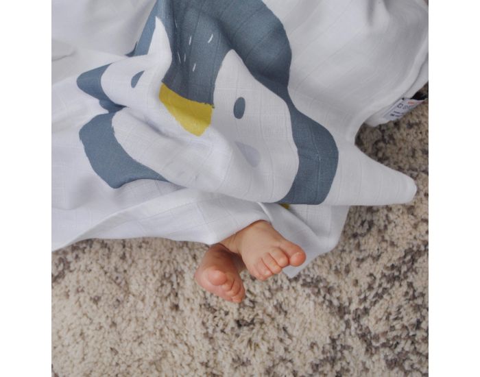 CAROTTE & Cie Maxi lange Pingouin (3)