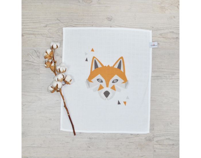 CAROTTE & Cie Lange Renard (1)