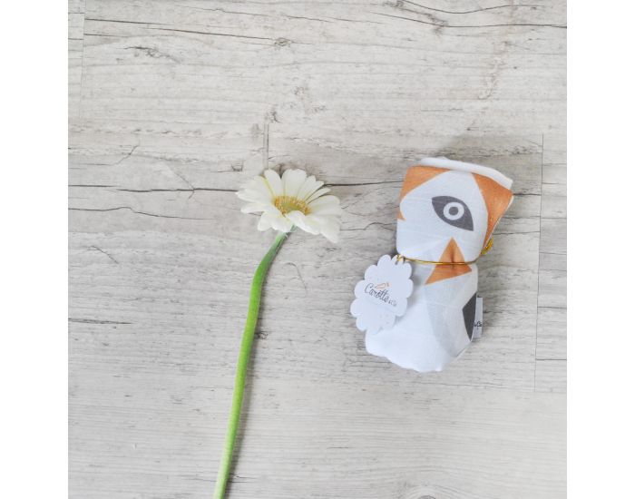 CAROTTE & Cie Lange Renard (3)