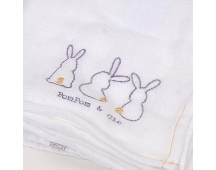 LITTLE CREVETTE Lot de 3 langes - 60 x 60 cm (8)