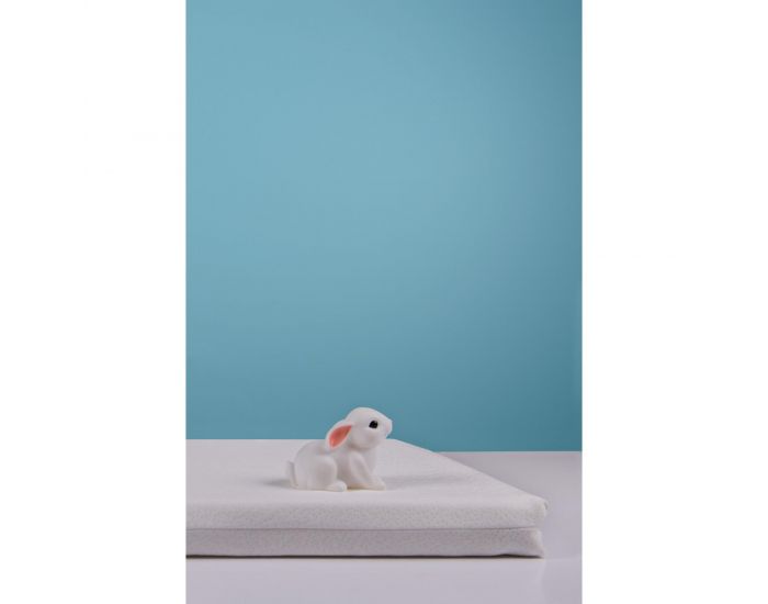 KADOLIS Matelas de Voyage Aloe Vera Roul (5)