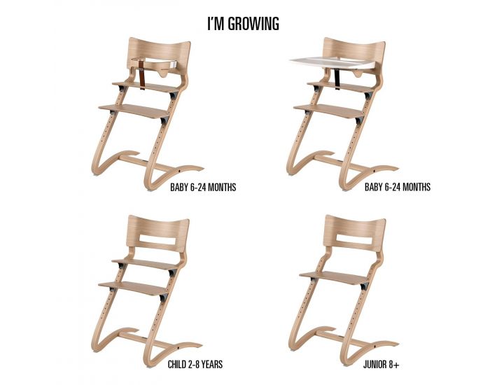 LEANDER Chaise Haute volutive avec Arceau de Scurit (4)
