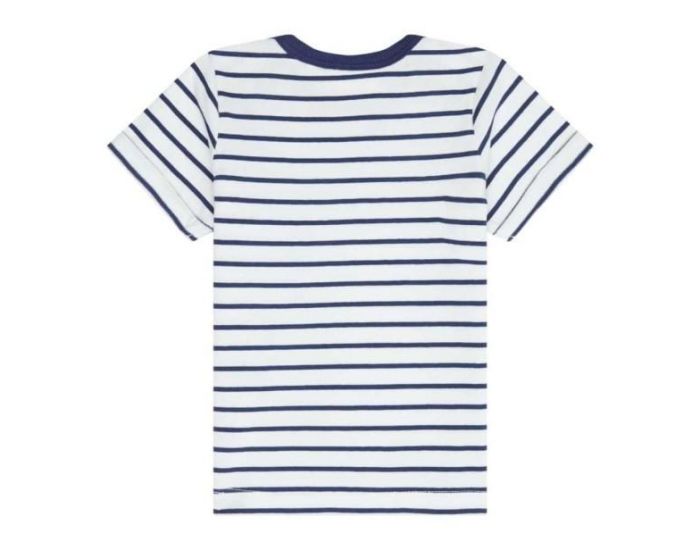 SENSE ORGANICS T-shirt B�b� en Coton Bio - Ray� - Bleu Marine  (1)