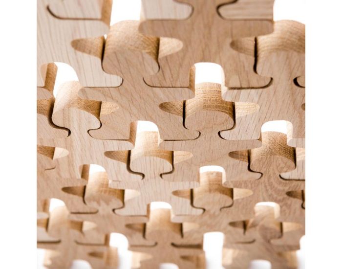 FLOCKMEN Lot de 32 Jouet Libre en bois - D�s 2 ans (12)