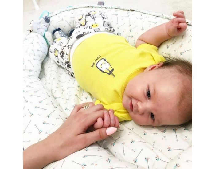 SEVIRA KIDS Nid b�b� - cocon co-dodo r�ducteur de lit - F�erie (8)