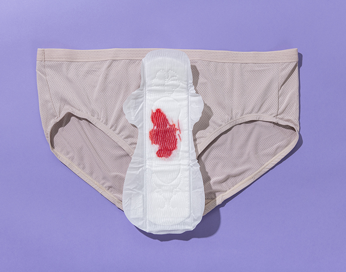 LANSINOH Serviette Maternit Post-Partum 2 semaines et + - 12 pices (8)