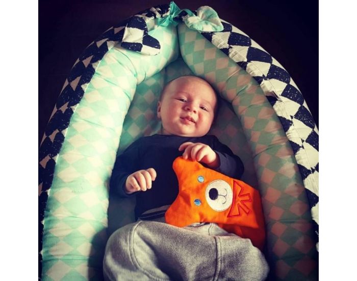 SEVIRA KIDS Nid b�b� - cocon co-dodo r�ducteur de lit - Follow Me (19)