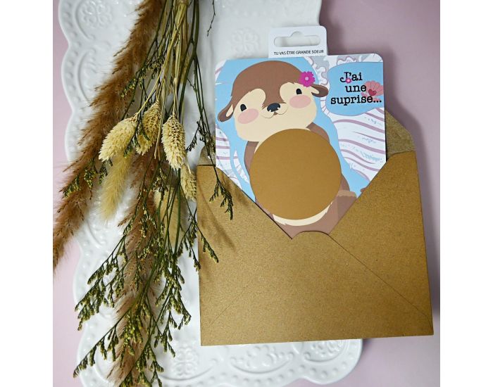 IRR�VERSIBLE Carte � Gratter - Je vais �tre Grande Soeur (7)