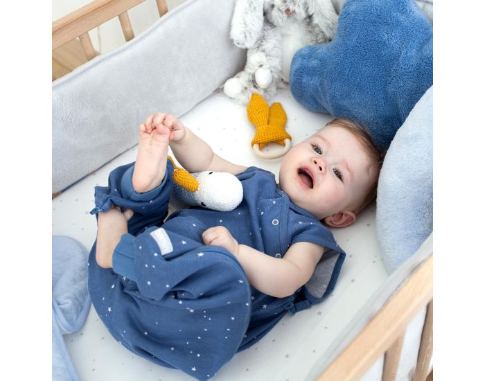 BEMINI Gigoteuse MAGIC BAG Jersey Sans Manches 3-9 mois (4)